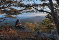 Rosamond nice downtown studio apt