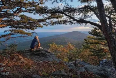 Rosamond nice downtown studio apt