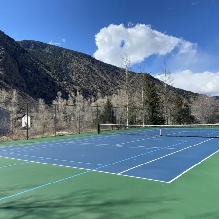 Large house in the mountains, (pre-approved dogs welcome