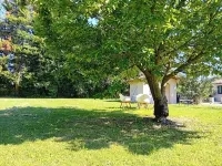 Gîte in Provence swimming pool Mas de charme Hoteles en Le Thor