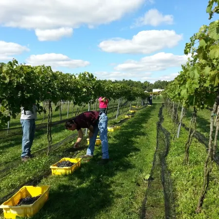 Unwind and Relax at Vineyard with Hot Tub and Massage On Site!