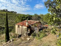 Charm between sea and mountains Hotels in Laroque-des-Alberes