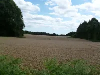 Gite des Oiseaux Hotels in Plumeliau-Bieuzy