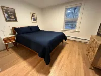 Quiet, private 1 bedroom garden apt near Harvard/MIT, sleeps 4 adults + 1 infant