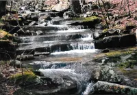 Forest Get Away! Surrounded by National Forest. Beautiful home in the woods.