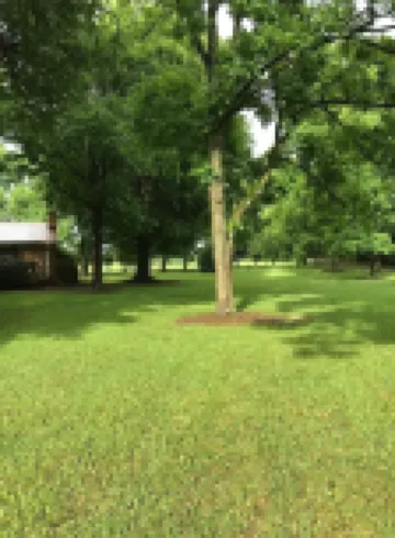 Entire house, Country Setting, Carrollton, near I-20
