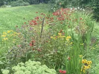 Run, ride, hike and swim in Central Vermont