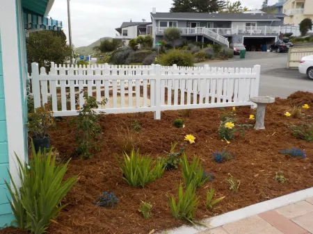 Captivating Cayucos Charmer-The ultimate beach setting. Отели в г. Каюкос