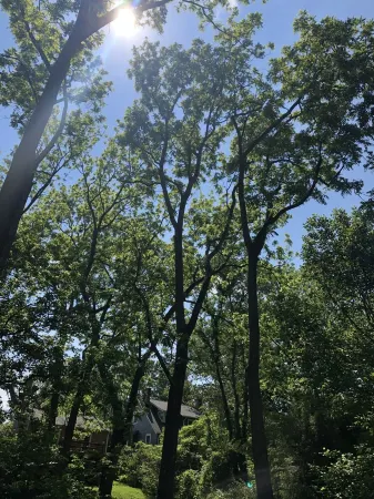 Elegant Retreat in Montford Victorian!