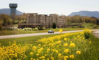 Hampton Inn & Suites Woodstock