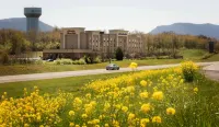 Hampton Inn & Suites Woodstock Hotels in Mount Jackson