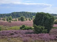 Gemütliche Ferienwohnung "stadtblick"