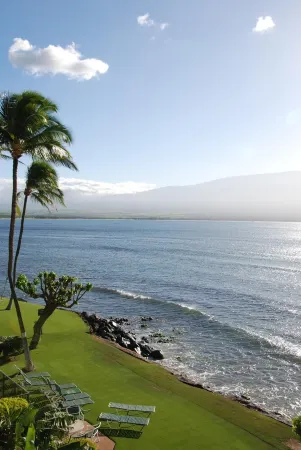 Spectacular Wall of Glass!