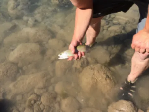 GNP Boundary Cabin -at the River