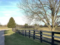 Private Country Estate: 16 miles to Keeneland, 13 to KY Horse Park!