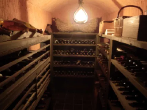 Suzukien Hotels in Koshu