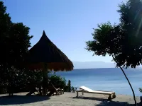 Sea Turtle House Moalboal - Ocean View