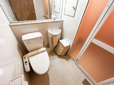 その他 胡蝶蘭の写真