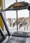 Thon Hotel Kautokeino - Gym