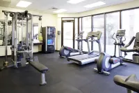 Skyline at Island Colony - gimnasio