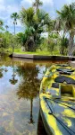 Pousada e Balneário Recanto Dos Pássaros Brb