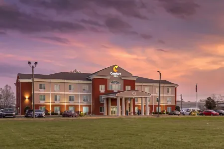 Comfort Inn US Hwy 80 Отели в г. Демополис