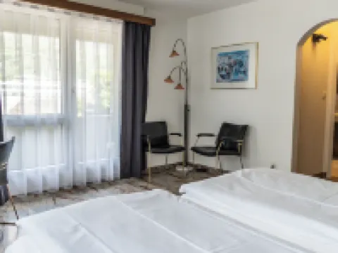 Hotel Europe Brig Hotels in Brig