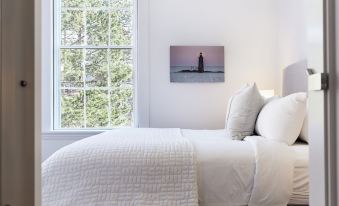 The Docent's Collection