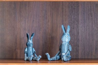 その他 Jade Rabbitの写真