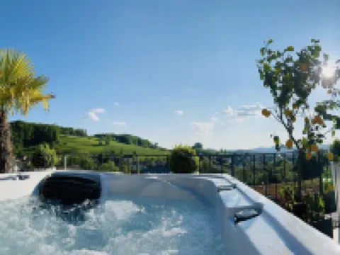Perfect Lifestyle Design Boutique & Private Spa Hotels in Baden