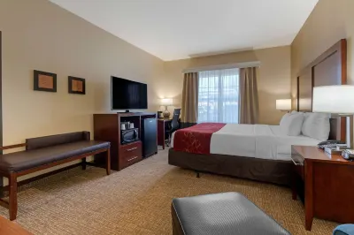 Comfort Suites Downtown Sacramento