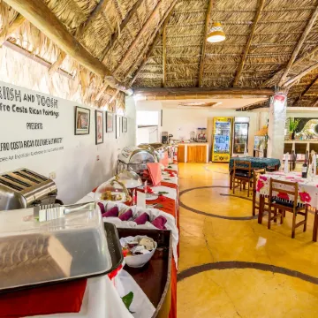 Cariblue Beach and Jungle Resort