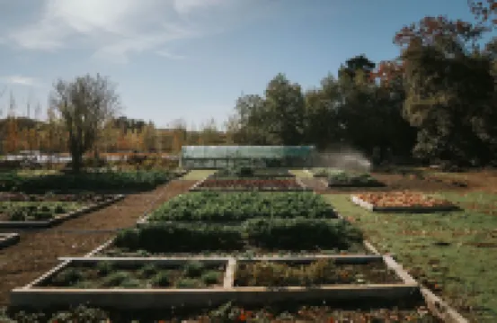 Château St Pierre de Serjac