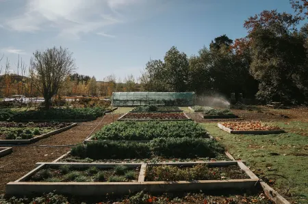 Château St Pierre de Serjac Отели в г. Валро