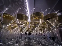 布爾瓦酒店 大波蘭地區戈茹夫酒店