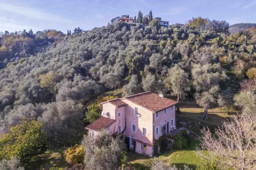 La Casa Dei Limoni