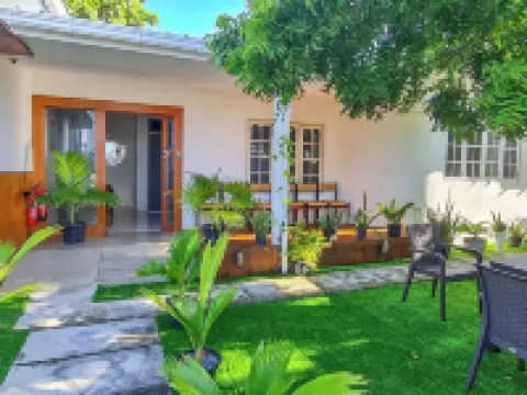 Turtle Inn Dharavandhoo Hotels in Dharavandhoo Island