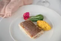 Excellence Oyster Bay - Adults Only All Inclusive - Bữa sáng