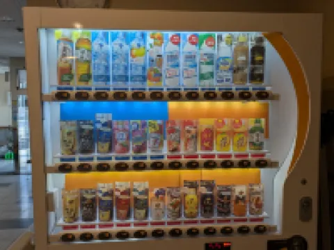 Business Hotel Shell