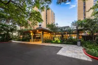 Ocean-Front Views and Modern Coastal Decor - Elegant Hawaiian Retreat