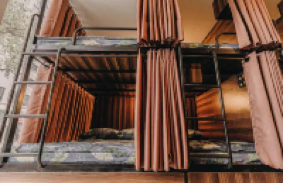 เอสไนท์ โรงแรม & ดอร์ม-ดานัง ดรากอน บริดจ์