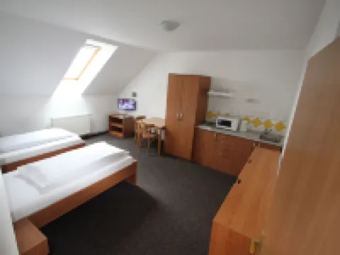 Wellness Penzion U Gigantu Hotels in Plzen