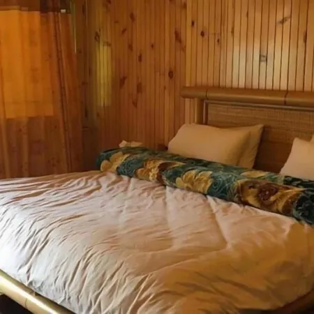 Swiss Wood Cottages Naran