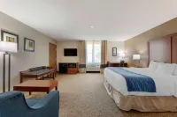 Comfort Inn Anderson South
