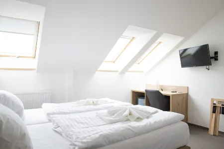 Amenity Penzion Horni Vestonice Отели рядом с достопримечательностью «Kozi Hradek - Mikulov»