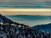 Mountain View Cabins Hotele w: Wrightwood