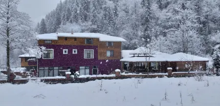 Mjora Otel Bungalov Ayder Отели в г. Guroluk Koyu