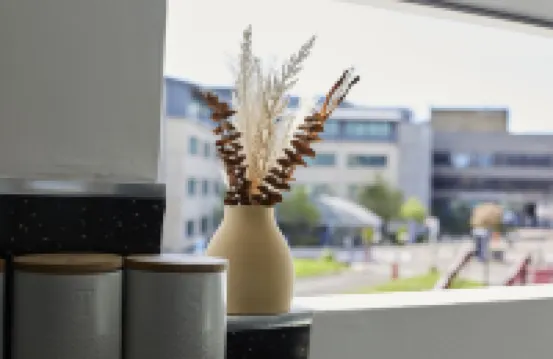 ハイ ヴァイブランツ スタジオズ クイーンズゲート