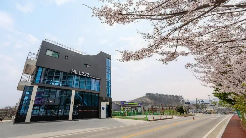 Donghae Hill Stay Pension Hotels in Donghae