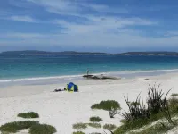 Albany Motel & Apartments